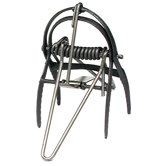 Out of Sight Mole Trap