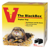The Box Gopher Trap
