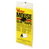 Mouse Glue Board (Set of 2)