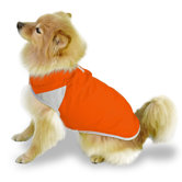 Spring Slicker Dog Coat in Orange Sherbet