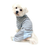 Classic Striped PJ Dog Suit