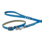 Candy Collar and Lead Set