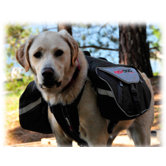 Summit Dog Backpack in Back/Charcoal