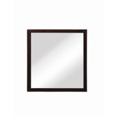 Cameron 30" x 1" x 32" Framed Mirror