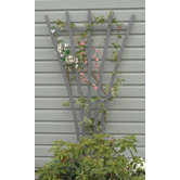 highwood&reg; Traditional fan trellis