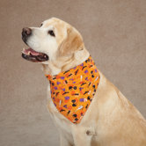 Spooky Dog Bandana