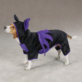 Bat Dog Costume