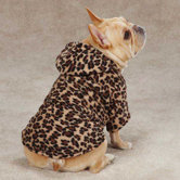 Animal Print Cuddler Dog Sweater