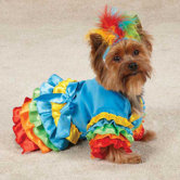 Polly Parrot Dog Costume
