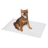 Reusable Dog Puppy Pad Large 23" x 36" One Package