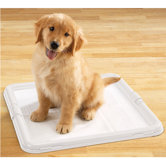 Dog Puppy Pad Holder