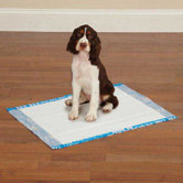 Clean Go Pet Graffiti Puppy Pads