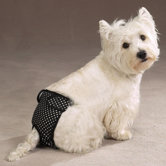 Female Pet Pup Pants