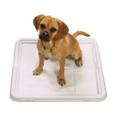 Pet Puppy Pad Holder