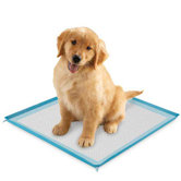 Silicone Puppy Pad Holder