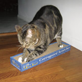 Corrugated Cardboard Scratching Board