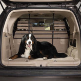 Vehicle Barrier in Black