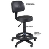Deluxe Grooming Stool with Back Rest and Black