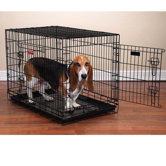 Everlasting Dual-Door Folding Dog Crate