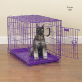 Fold-Down Dog Crate