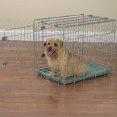 Smart Snap Dog Crate in Silver Sage