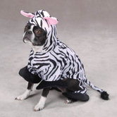 Zebra Dog Costume