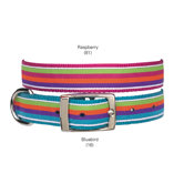 Brite Stripe Dog Collar