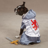 Knight Dog Costume