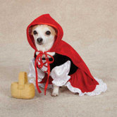 Lil' Riding Hood Dog Costume
