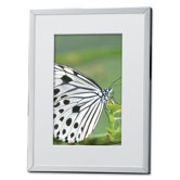 Metal Picture Frame