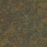 Choice 6" x 6" Porcelain Tile with Interlocking Tray in Pradera