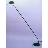 Braccino One Light Floor Lamp in Black