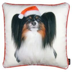 Holiday Papillion Pillow in White