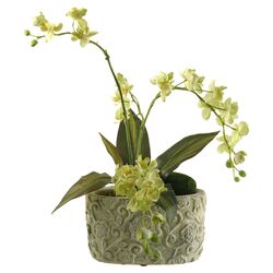 Dancing Orchids with Dracaena Leaves