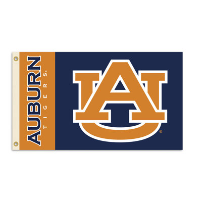 BSI Products NCAA Traditional Flag