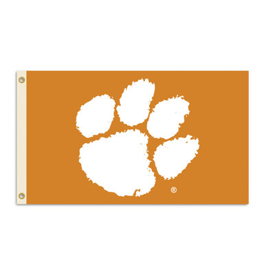 BSI Products NCAA Traditional Flag