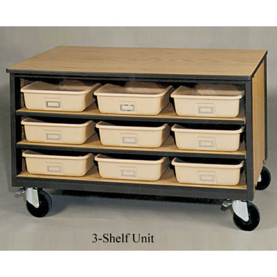 Ironwood 4000 Series Tote Tray Mobile Cabinet