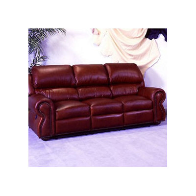 Omnia Furniture Cordova Leather Full Sleeper Sofa