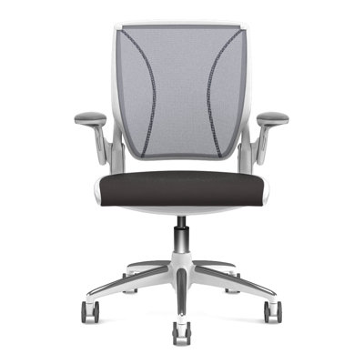 Humanscale Diffrient World Office Chair