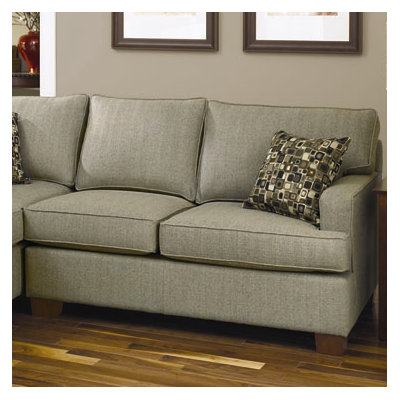 Charles Schneider Furniture Anderoso 2 Piece Sectional Sofa