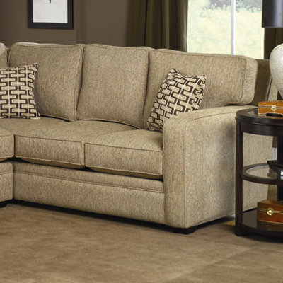 Charles Schneider Furniture Baxter 2 Piece Sectional Sofa