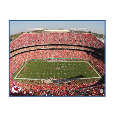 Artissimo Designs NFL Stadium Canvas Art