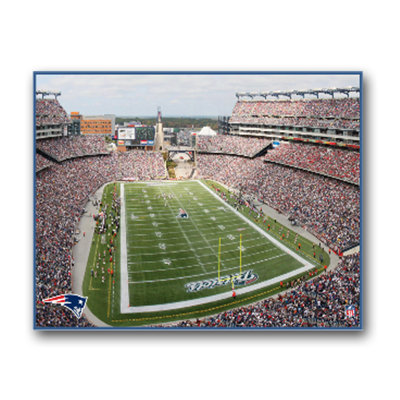 Artissimo Designs NFL Stadium Canvas Art
