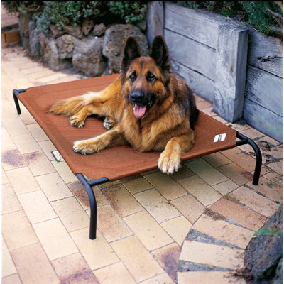 Coolaroo Elevated Indoor/Outdoor Pet Cot for Large Breeds