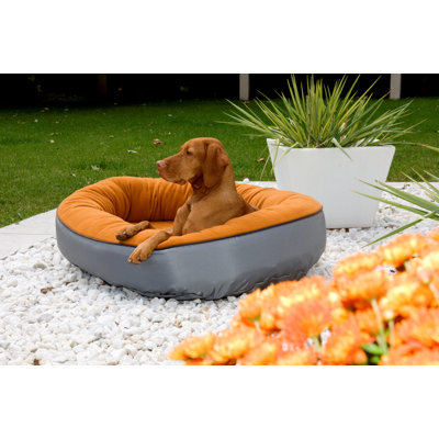 Bowsers Orbit Dog Bed