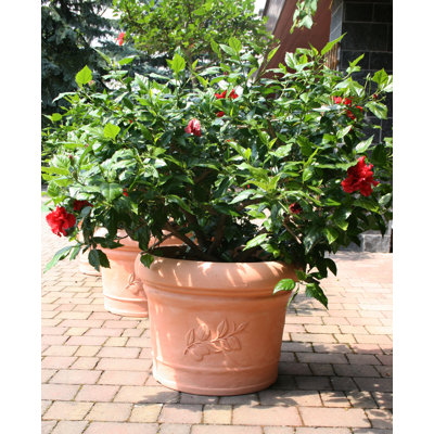 CompassCo Danielle Round Planter