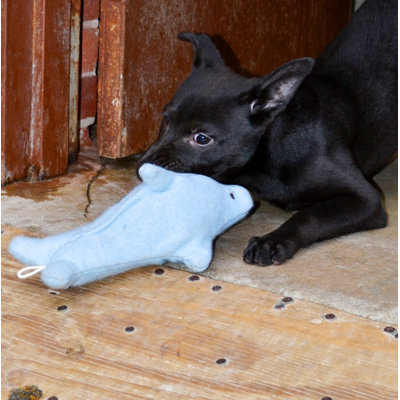ABO Gear Bottlenose Dolphin Dog Toy