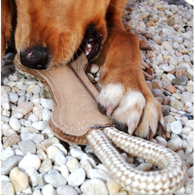 ABO Gear Tug Bone Dog Toy
