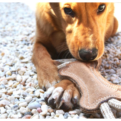 ABO Gear Tug Bone Dog Toy