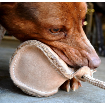 ABO Gear Baseball Dog Toy